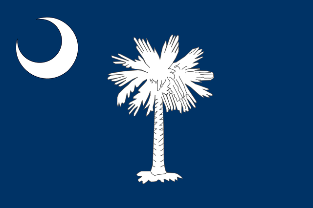 South Carolina Voter Bill